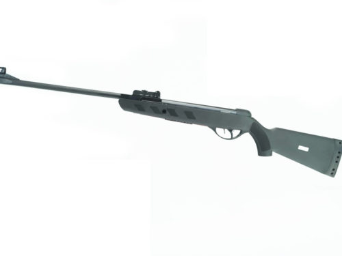 Air rifle AN500