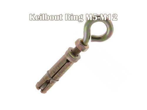 Expansion Bolt with ring