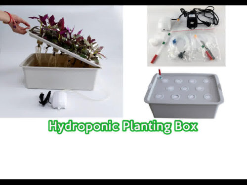 Hydroponic Planting Box