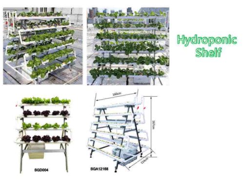 Hydroponic Shelf