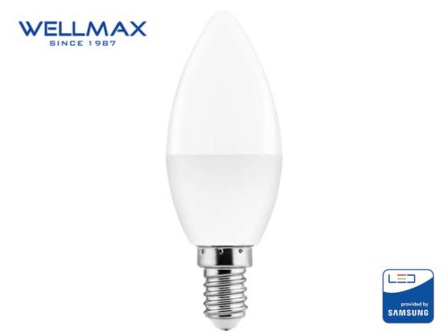 LED Candle Bulb