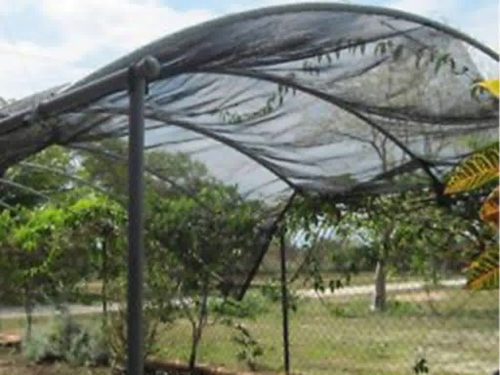 Sunshade net